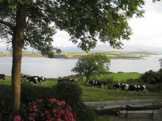 Dromcloc House Bed & Breakfast Bantry Dış mekan fotoğraf
